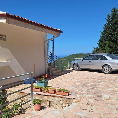 Vila Tatjana ξενώνας Vuno Εξωτερικό φωτογραφία