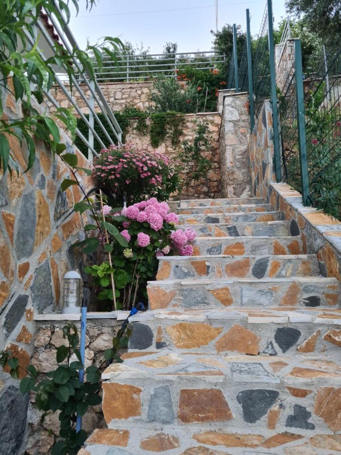 Vila Tatjana ξενώνας Vuno Εξωτερικό φωτογραφία