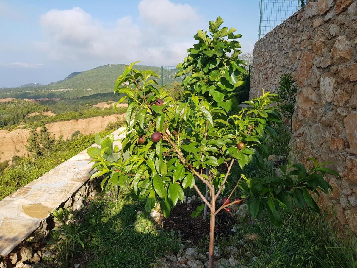 Vila Tatjana ξενώνας Vuno Εξωτερικό φωτογραφία