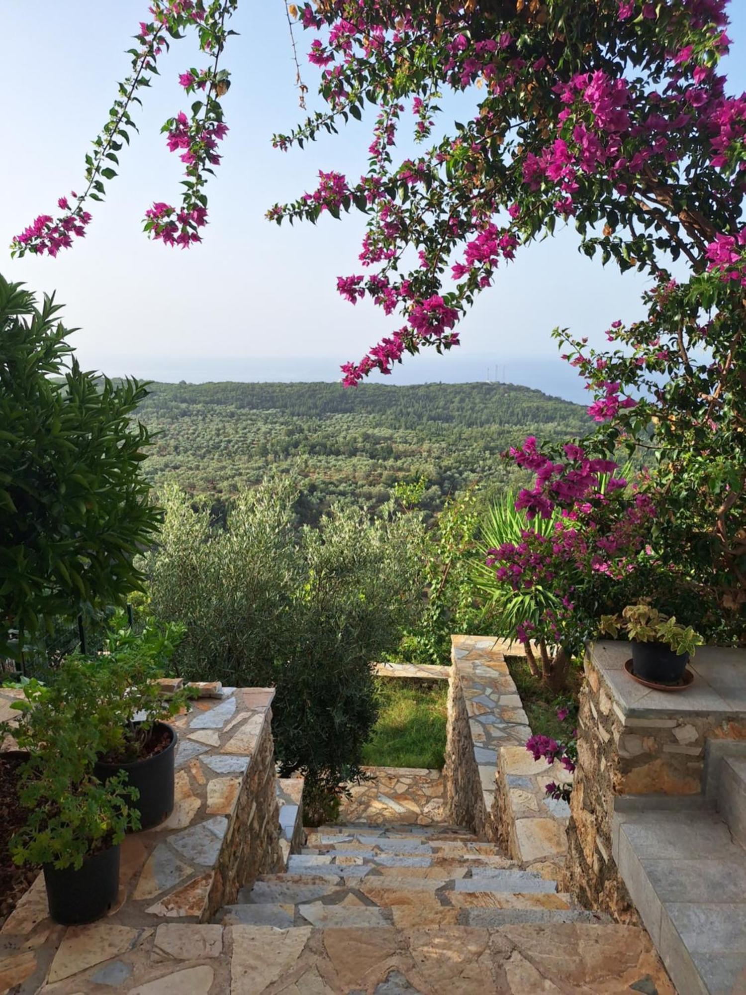 Vila Tatjana ξενώνας Vuno Εξωτερικό φωτογραφία