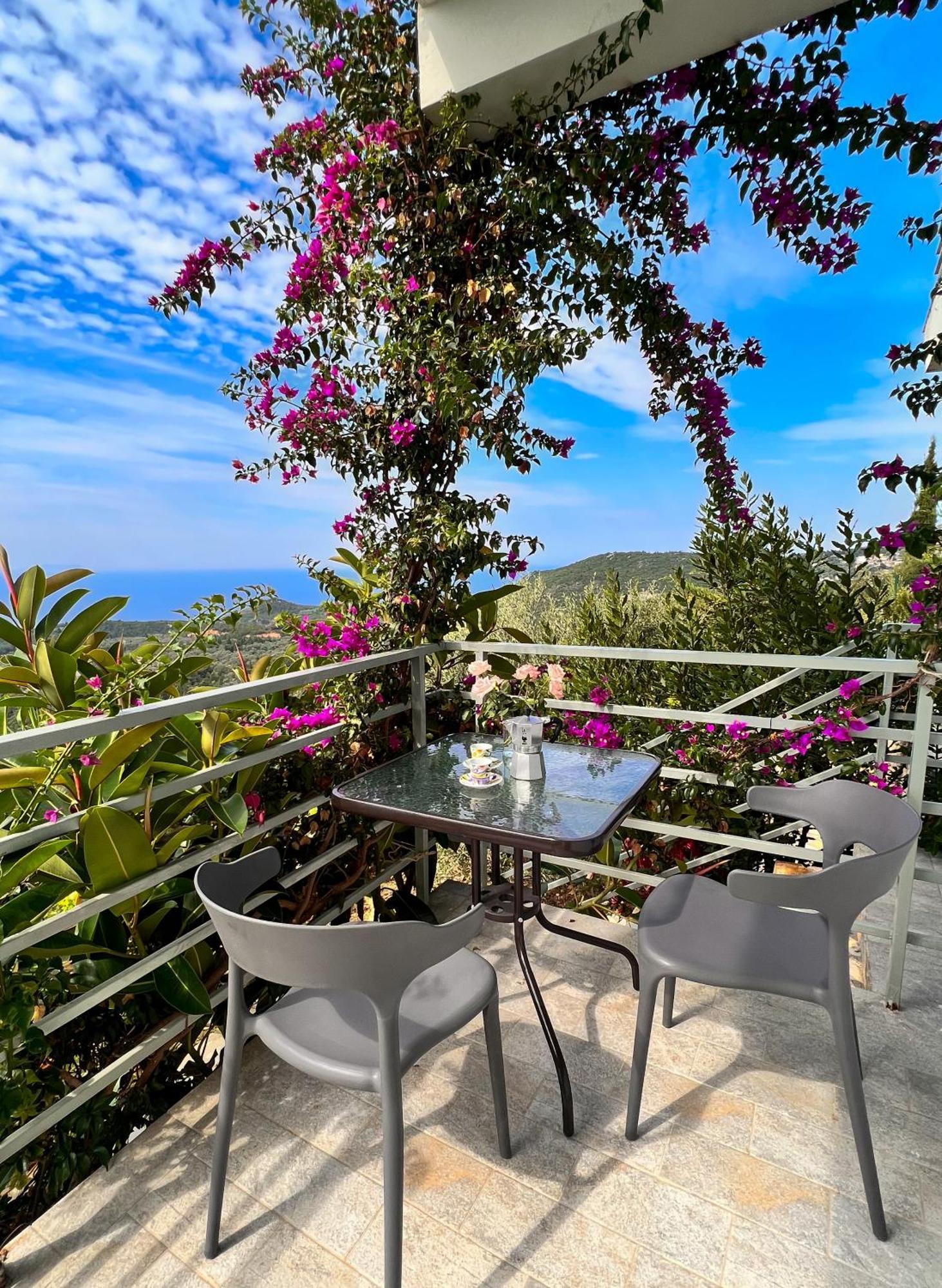 Vila Tatjana ξενώνας Vuno Εξωτερικό φωτογραφία